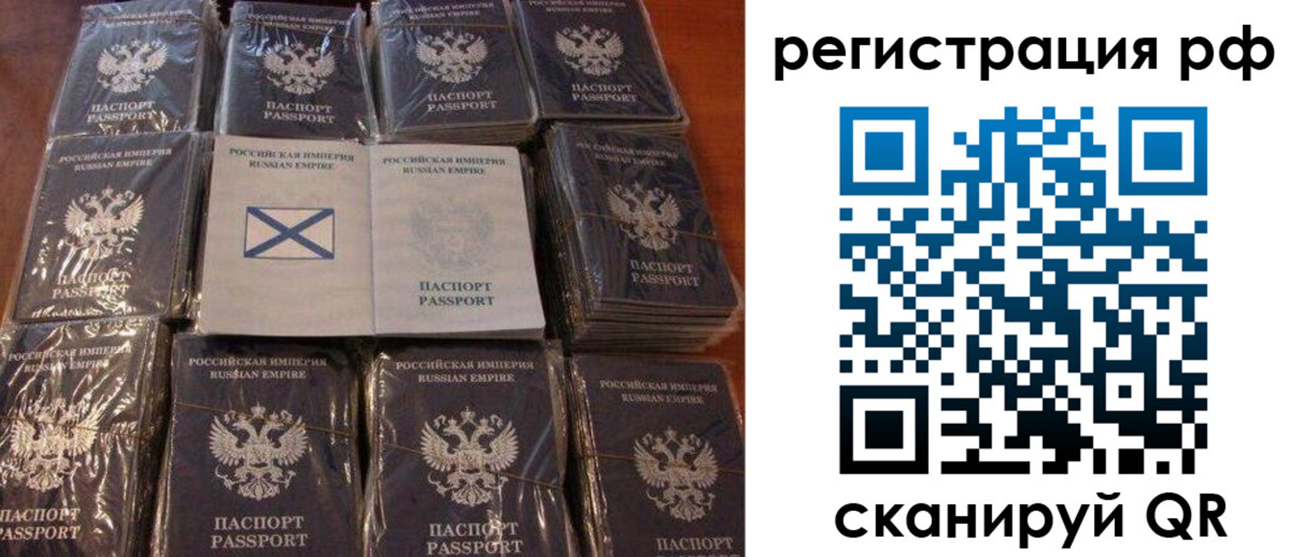 найти адрес прописки в Нововоронеже